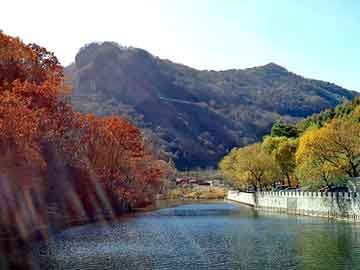 管家婆黑白马报图库，太空一号高瘦鞋